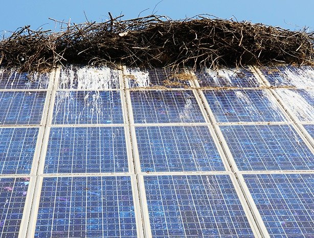 solar physical damage